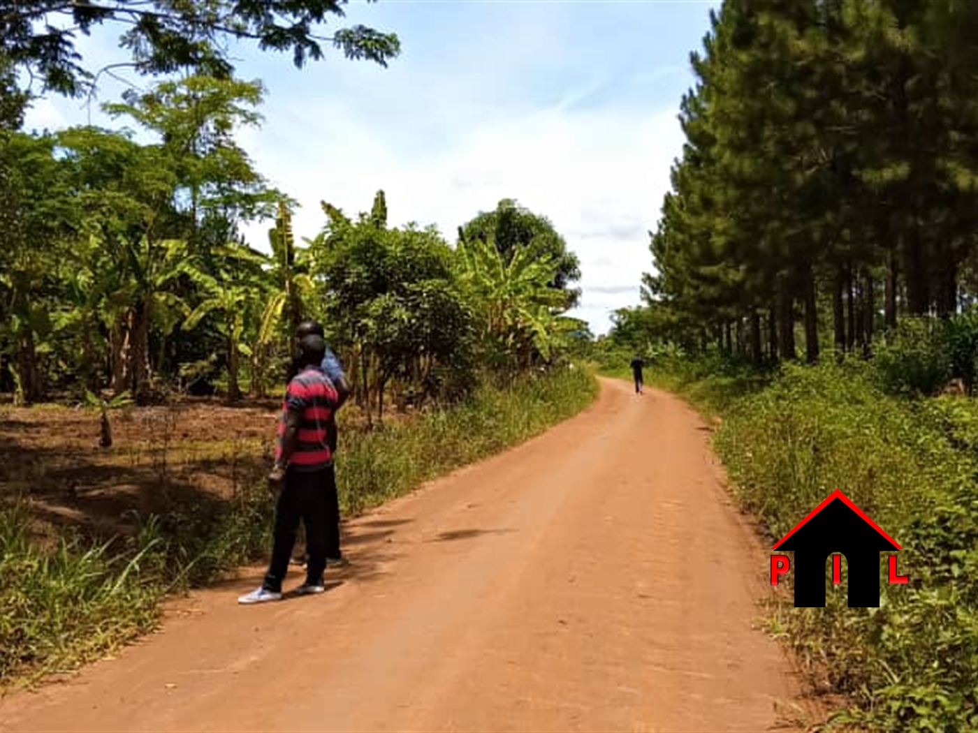 Agricultural Land for sale in Kamila Luweero