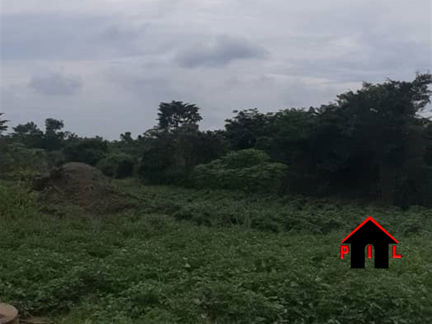 Agricultural Land for sale in Kiwoko Luweero