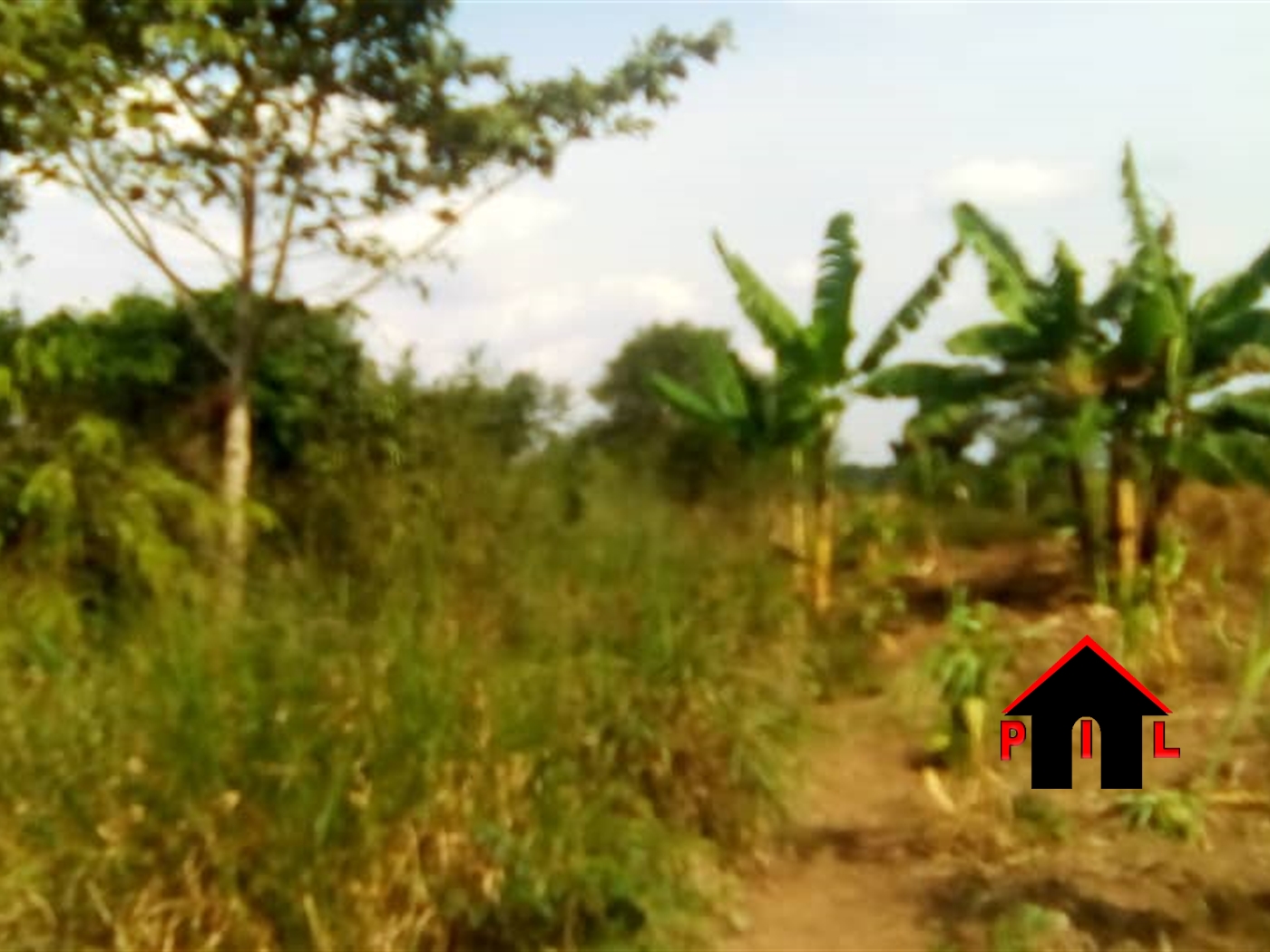 Agricultural Land for sale in Wakivule Luweero