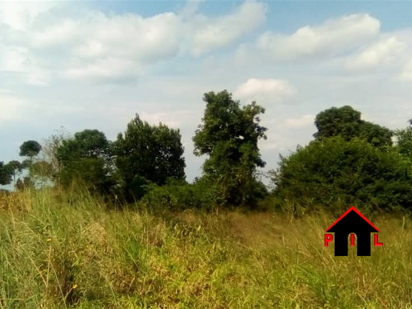 Agricultural Land for sale in Wakivule Luweero