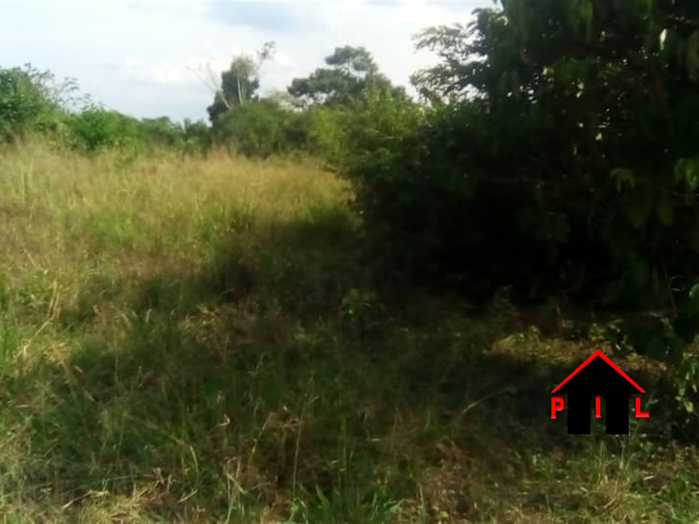 Agricultural Land for sale in Wakivule Luweero