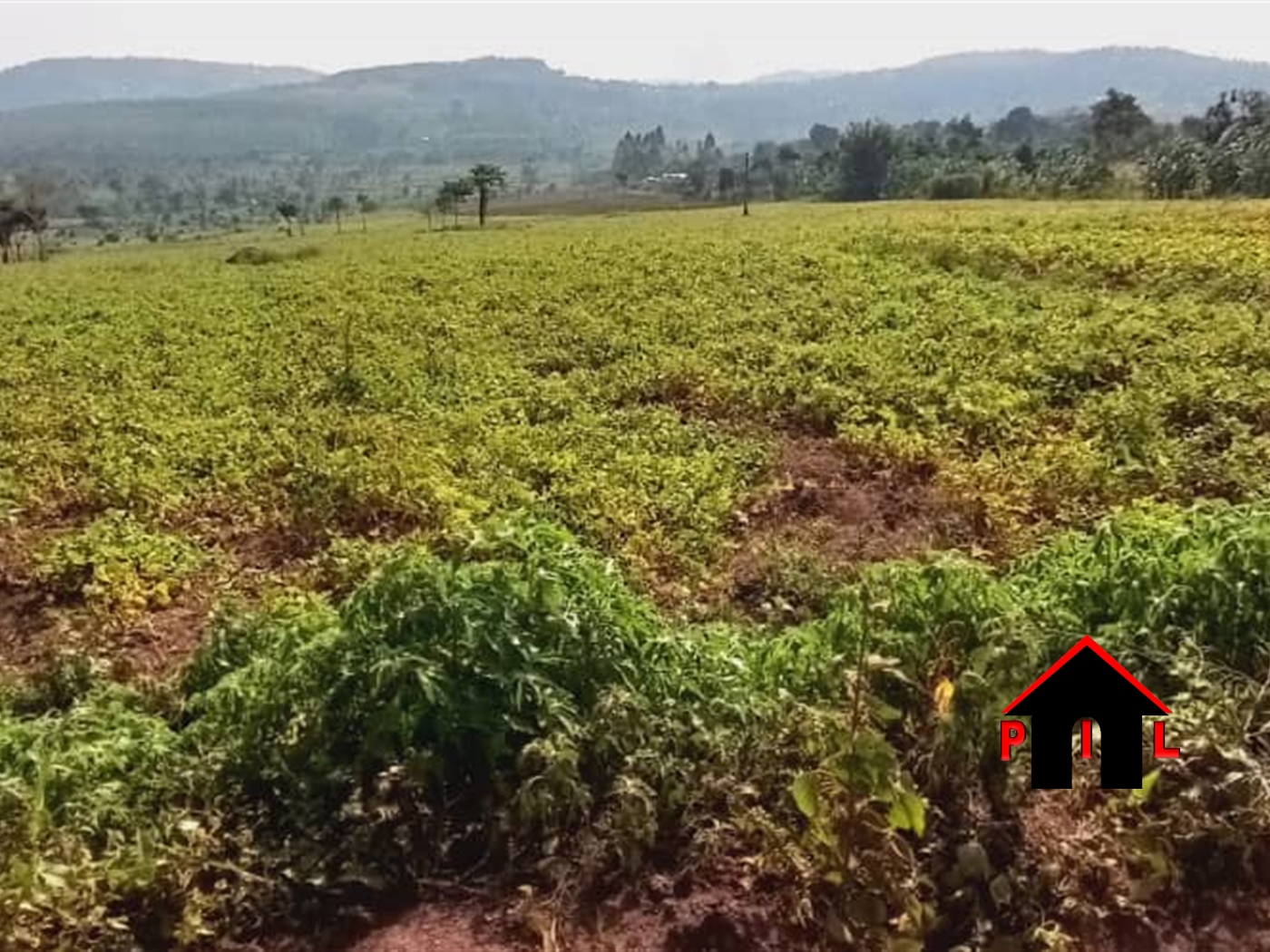 Agricultural Land for sale in Maya Masaka