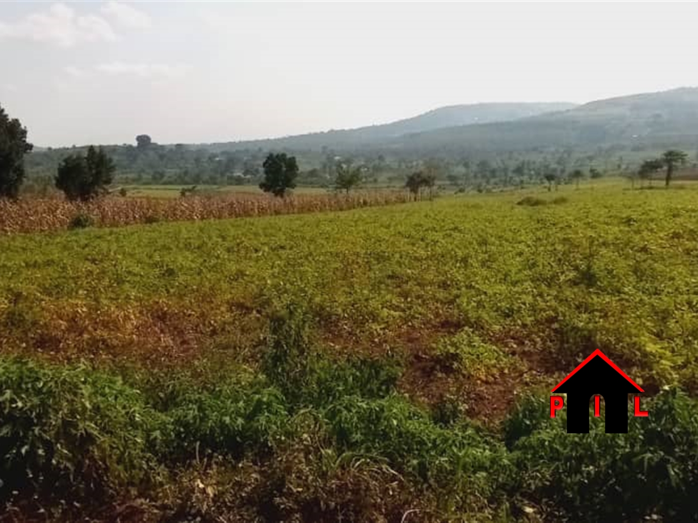 Agricultural Land for sale in Maya Masaka