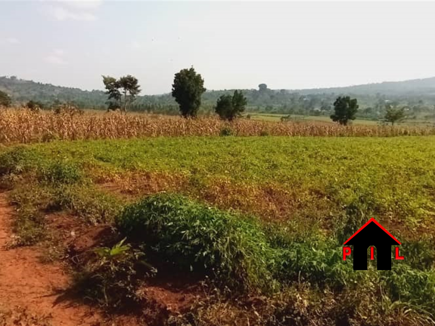 Agricultural Land for sale in Maya Masaka