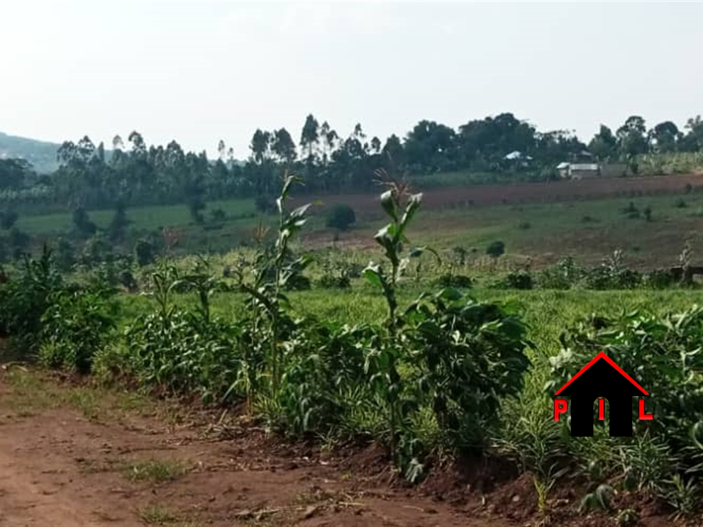 Agricultural Land for sale in Maya Masaka