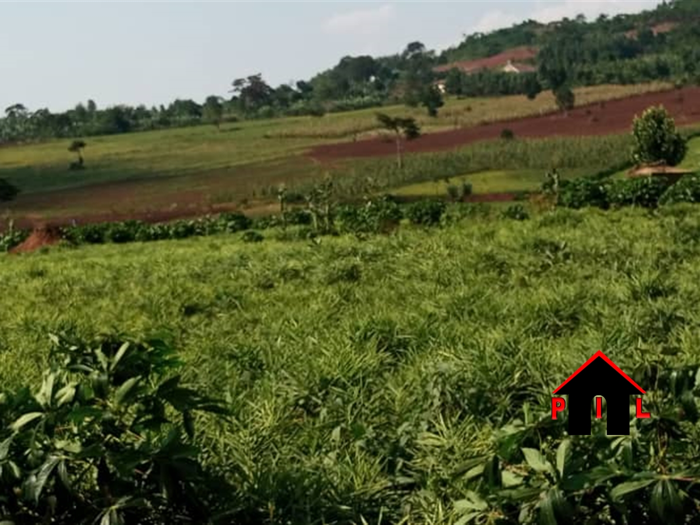 Agricultural Land for sale in Maya Masaka