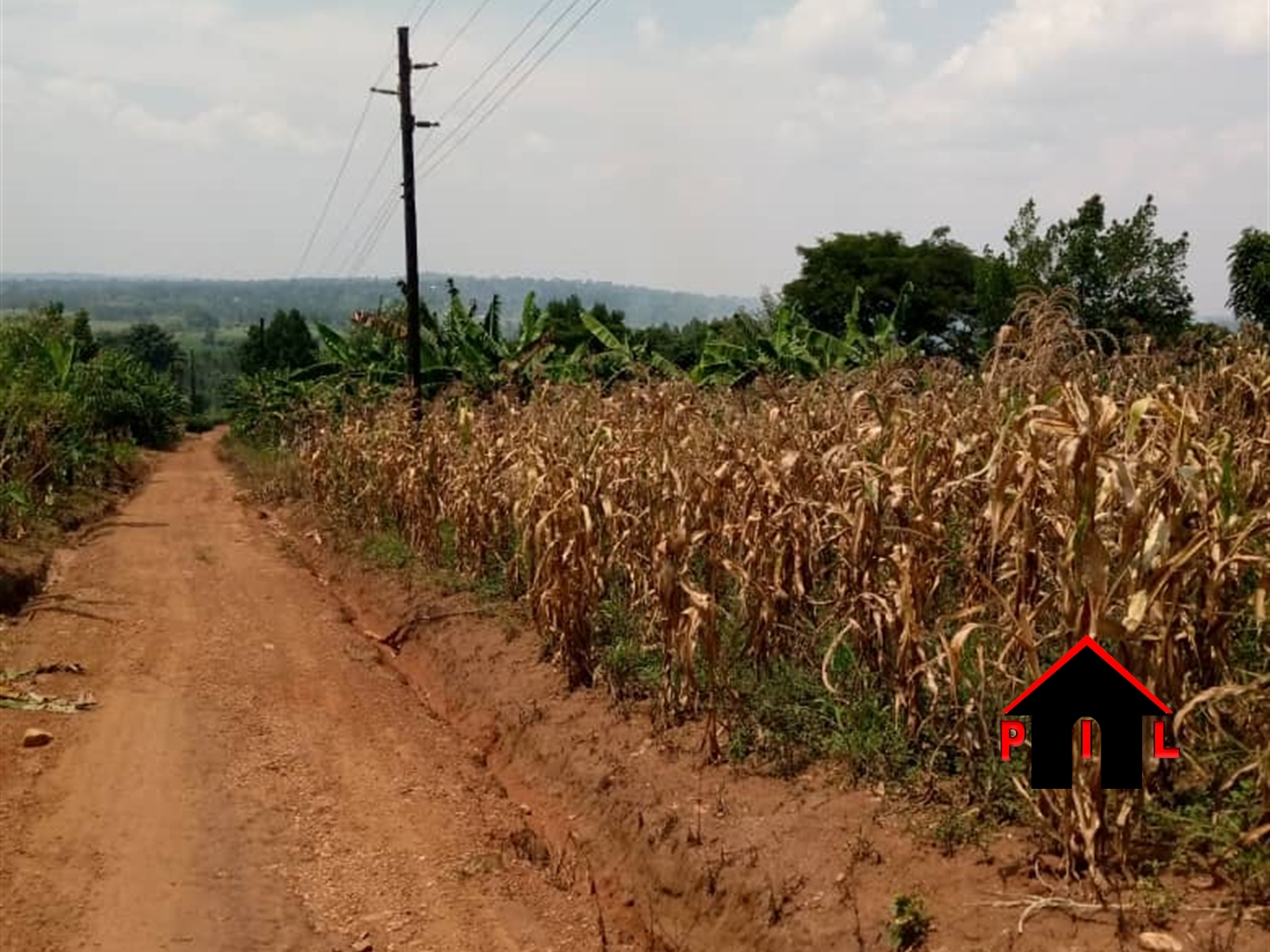 Agricultural Land for sale in Busunjju Mityana