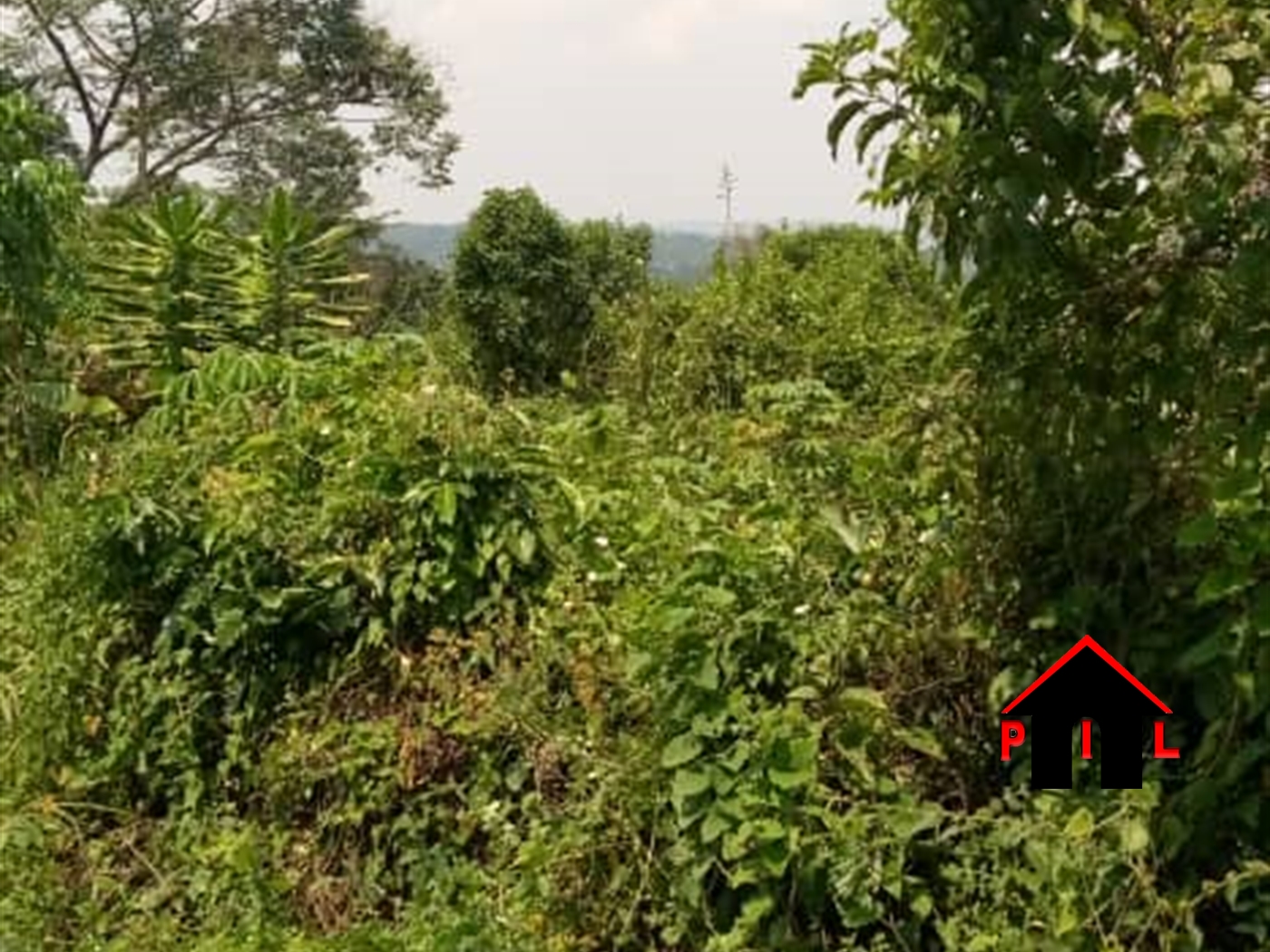 Agricultural Land for sale in Busunjju Mityana