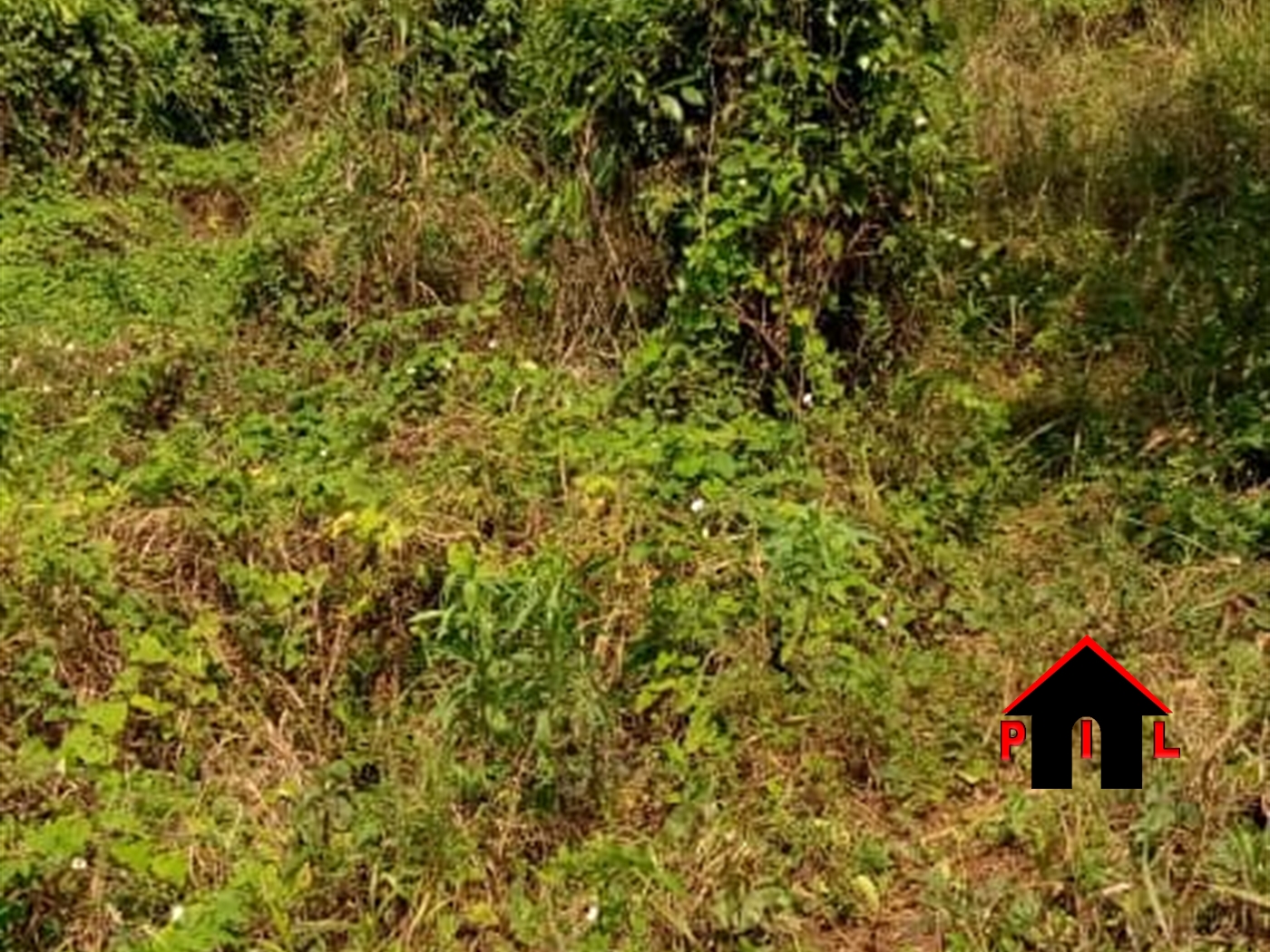 Agricultural Land for sale in Busunjju Mityana