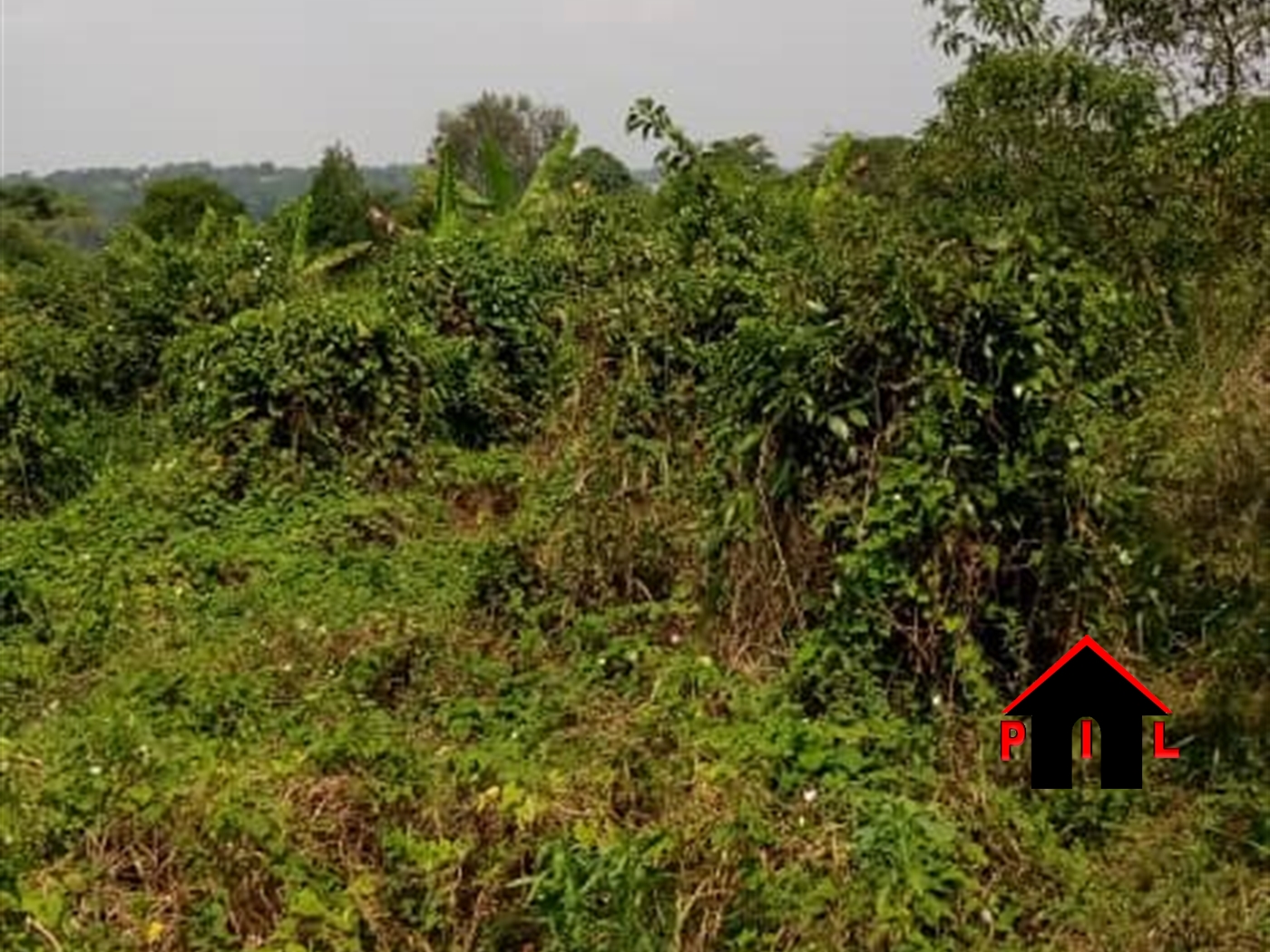 Agricultural Land for sale in Busunjju Mityana