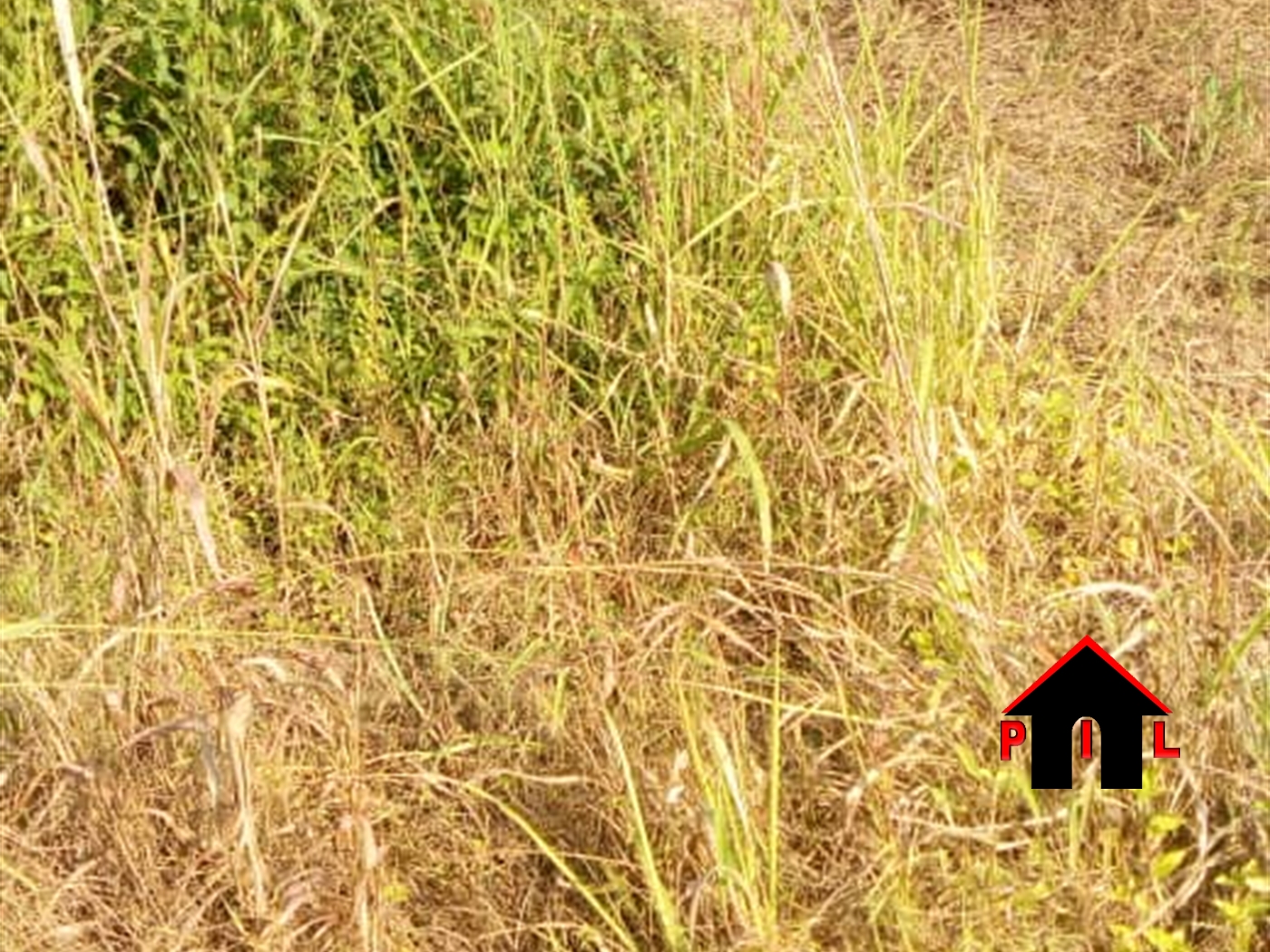 Residential Land for sale in Kungu Wakiso