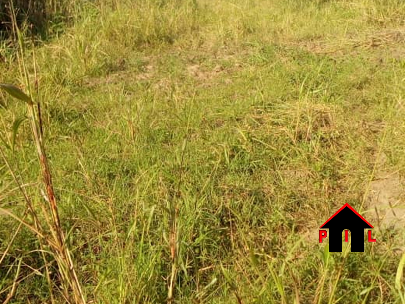 Residential Land for sale in Kungu Wakiso