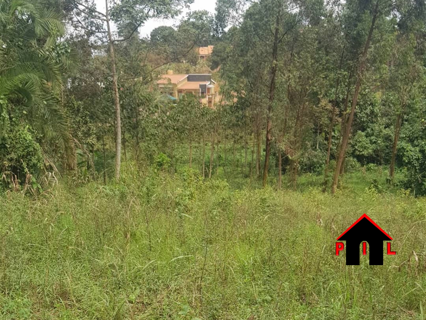 Agricultural Land for sale in Kasangati Wakiso