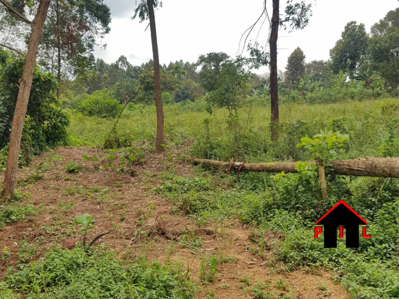 Agricultural Land for sale in Kasangati Wakiso