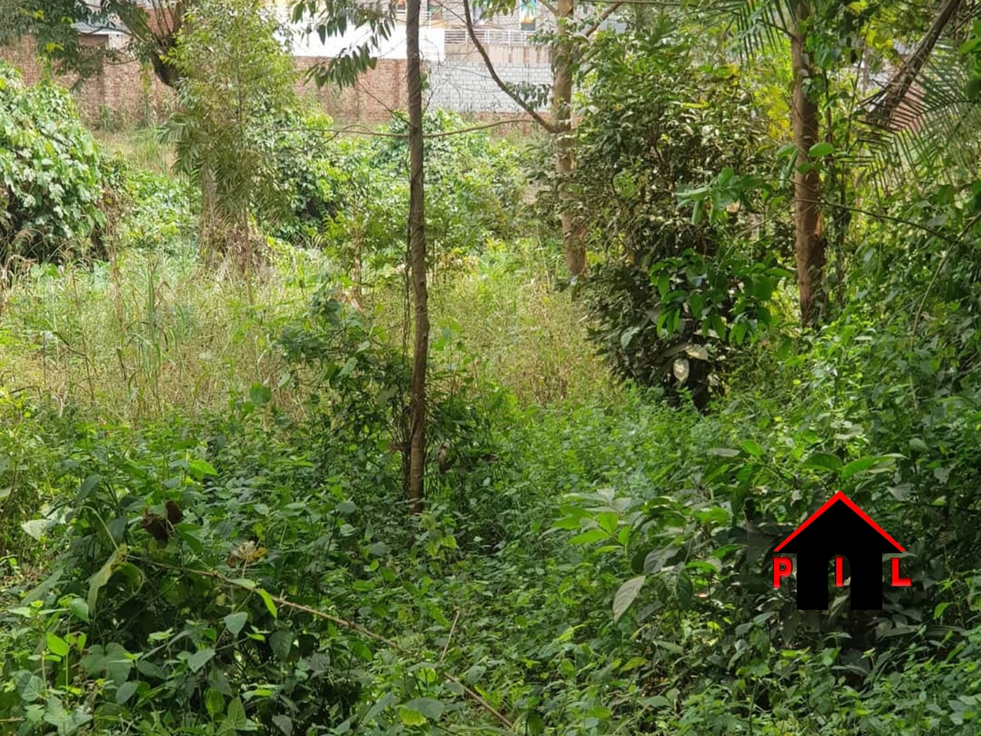 Agricultural Land for sale in Kasangati Wakiso