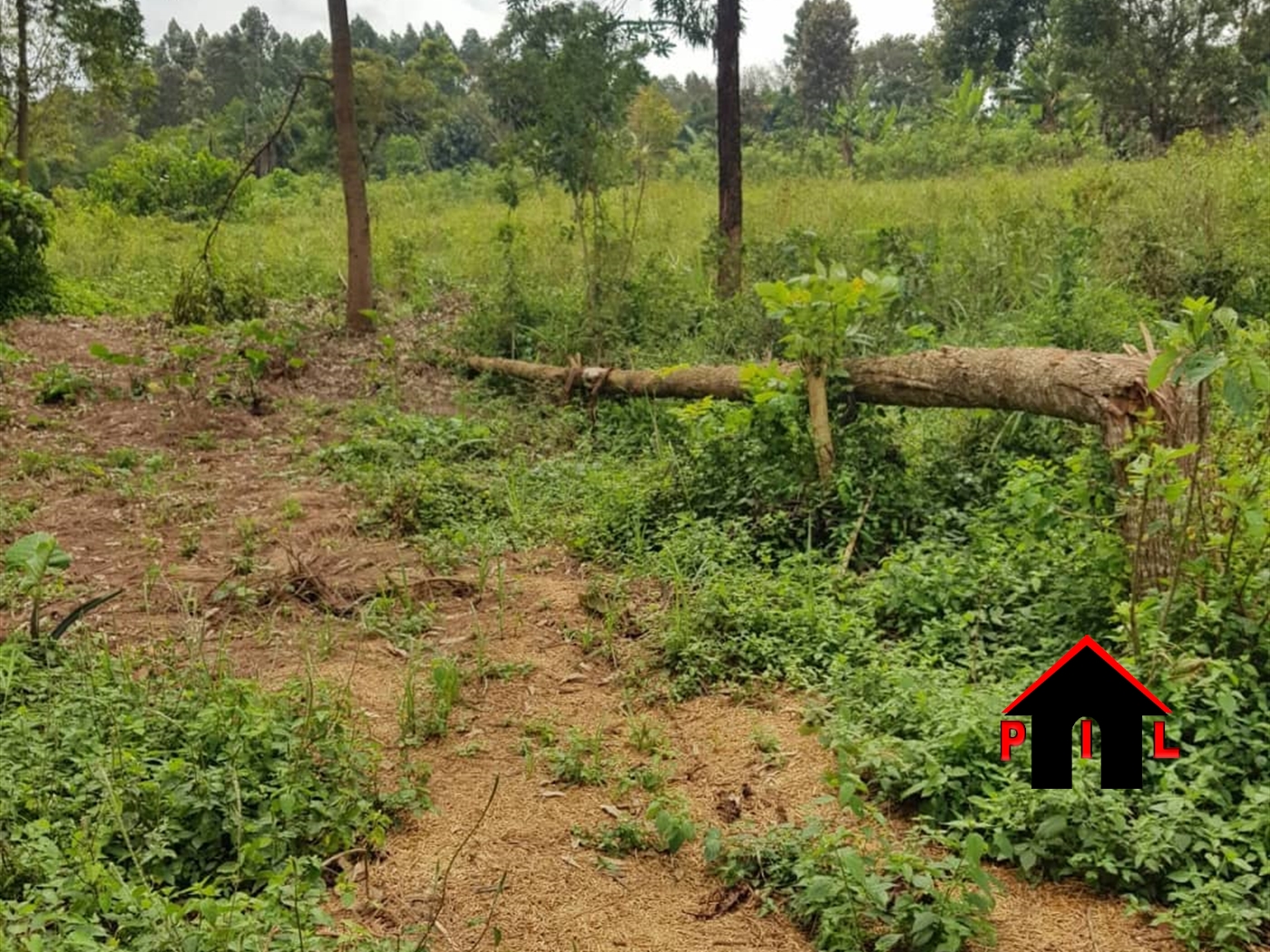 Agricultural Land for sale in Kasangati Wakiso