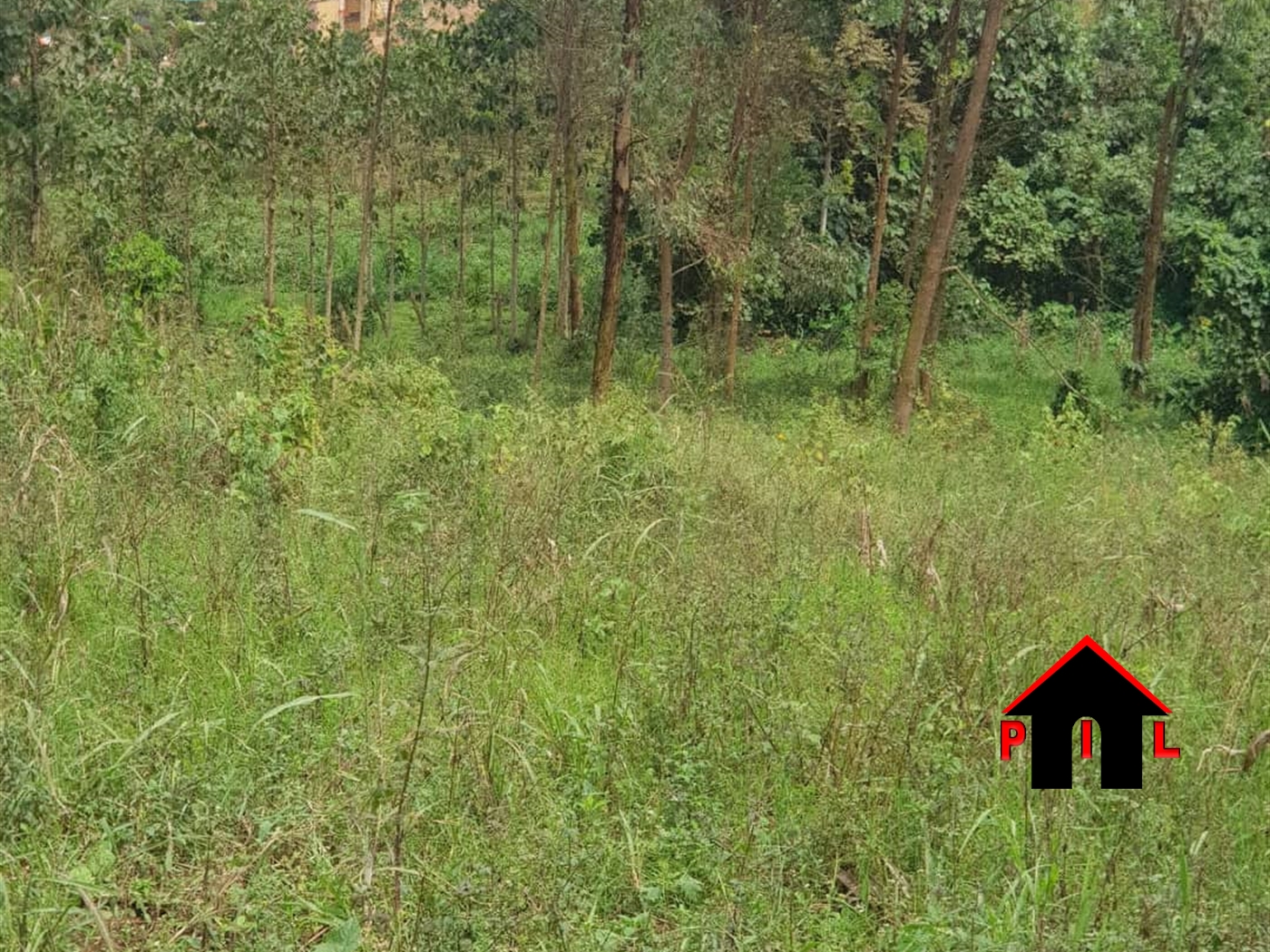 Agricultural Land for sale in Kasangati Wakiso