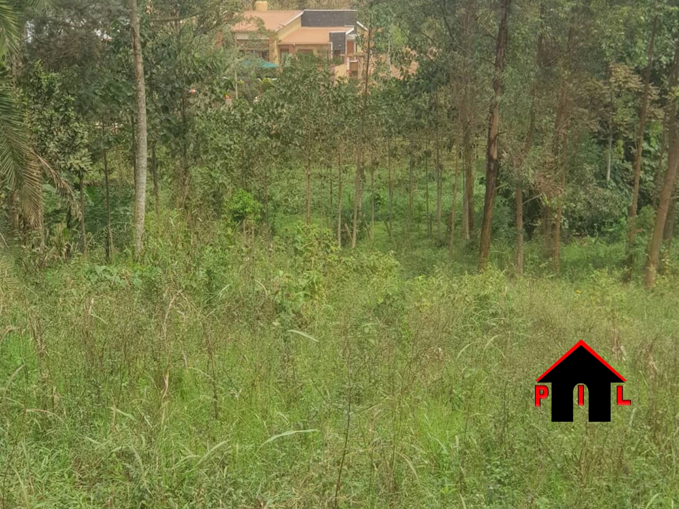 Agricultural Land for sale in Kasangati Wakiso