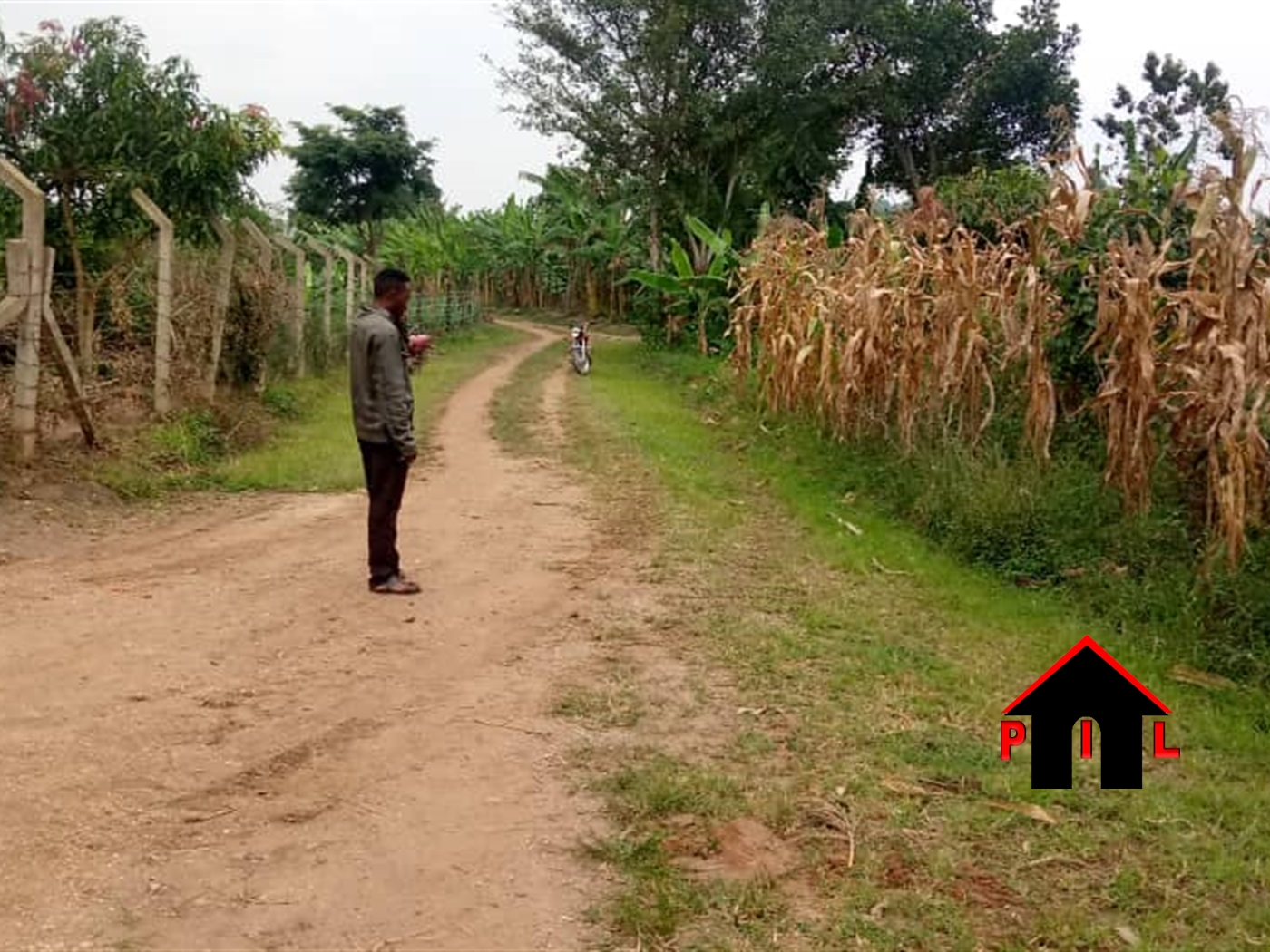 Agricultural Land for sale in Bombo Luweero