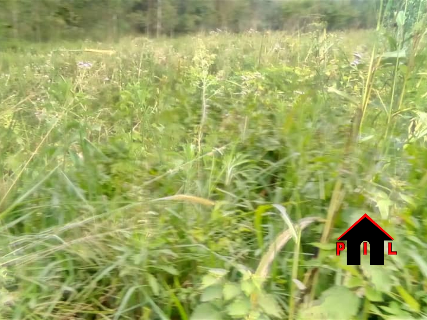 Residential Land for sale in Sonde Wakiso