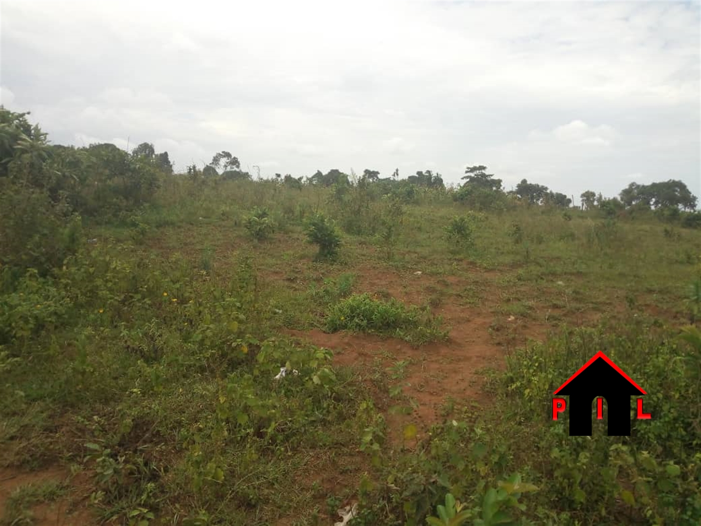 Agricultural Land for sale in Naggalama Mukono