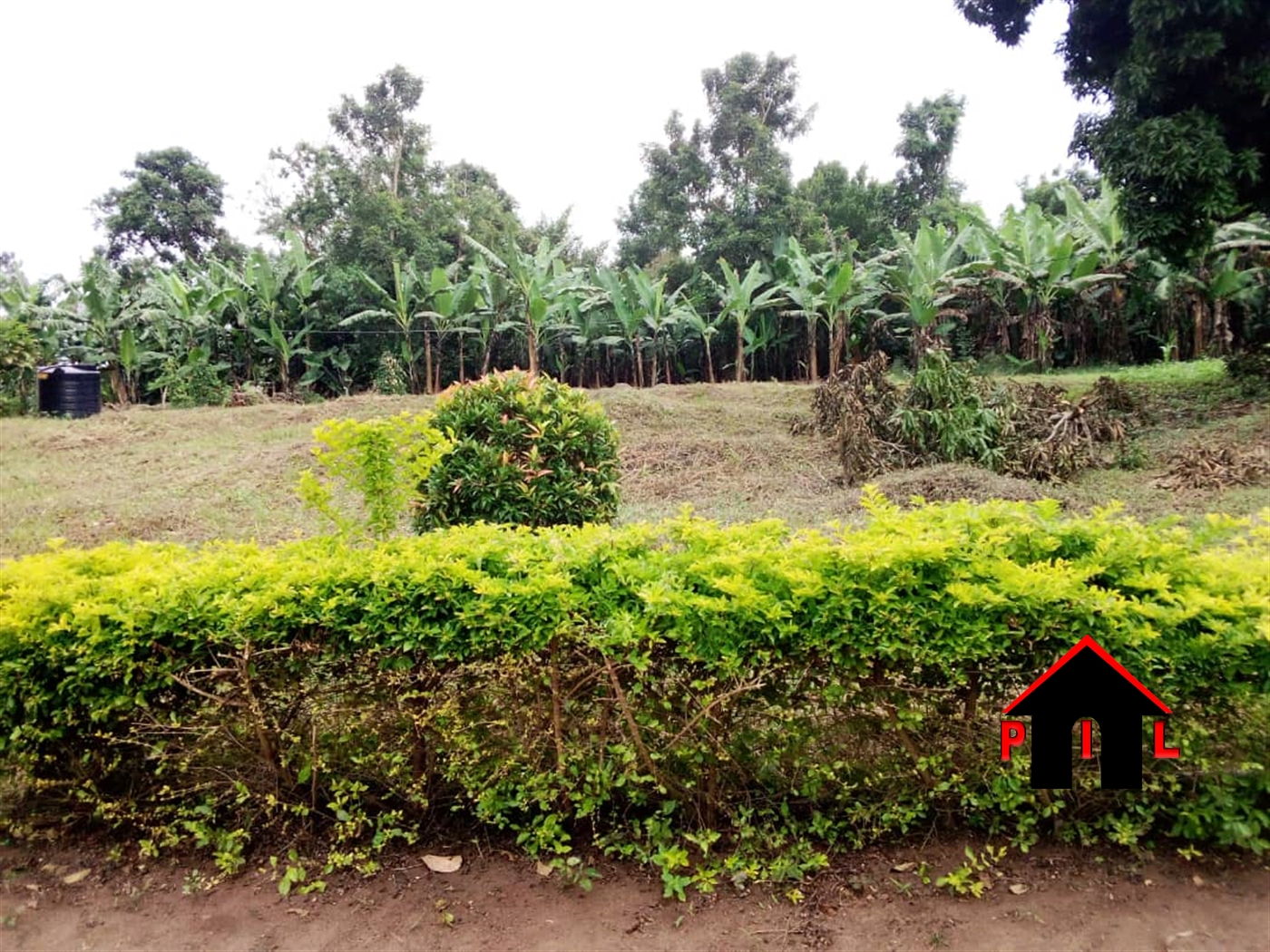 Agricultural Land for sale in Katebo Mpigi