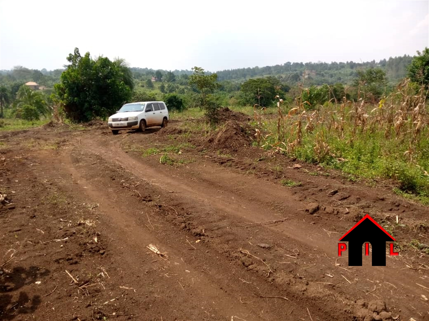 Agricultural Land for sale in Kitungwa Nakaseke