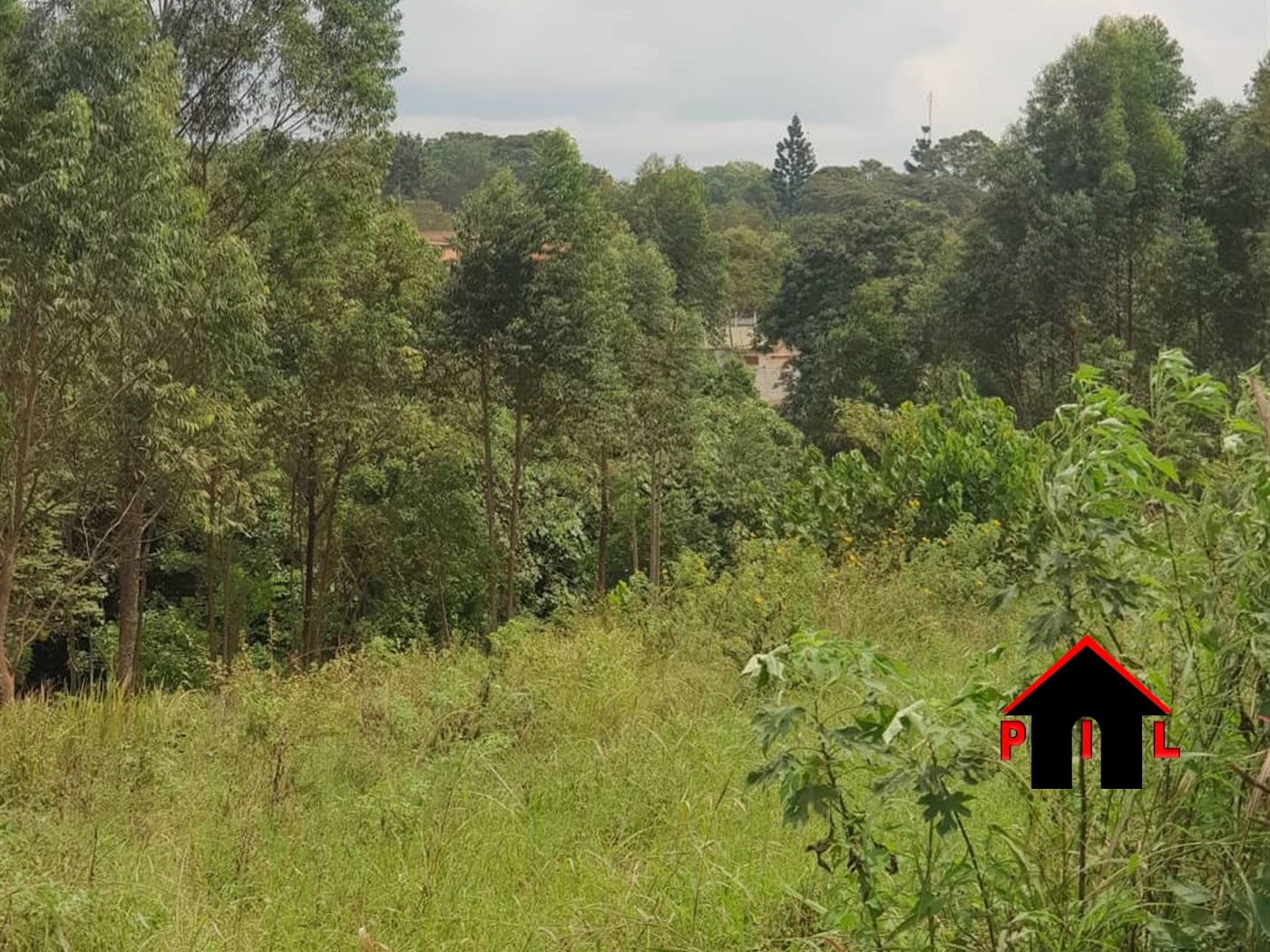 Agricultural Land for sale in Nakassajja Wakiso