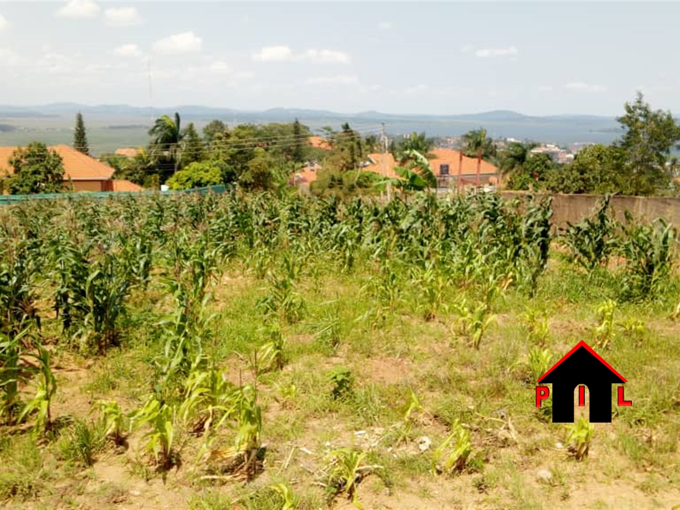 Residential Land for sale in Namulonge Wakiso