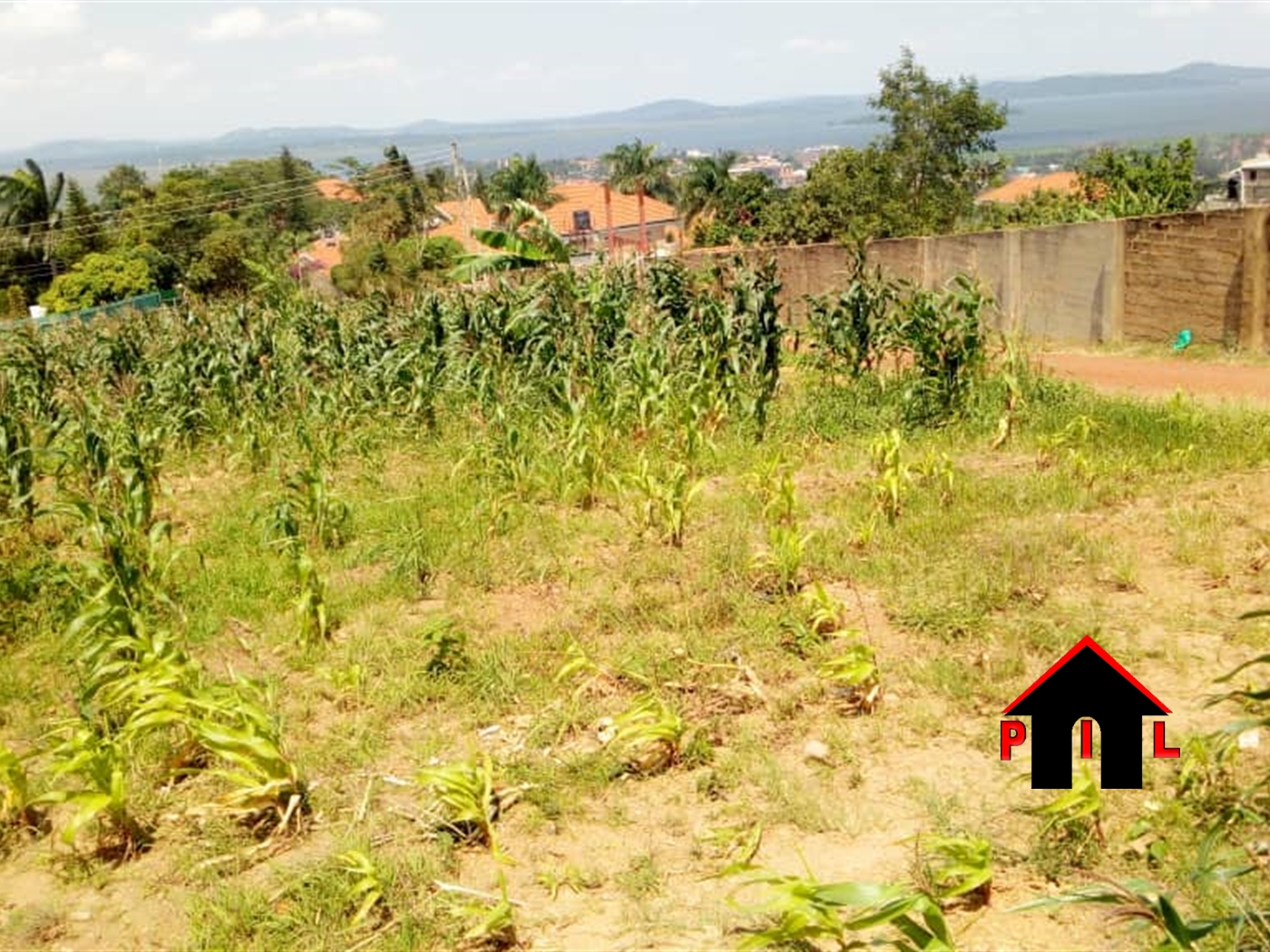 Residential Land for sale in Namulonge Wakiso