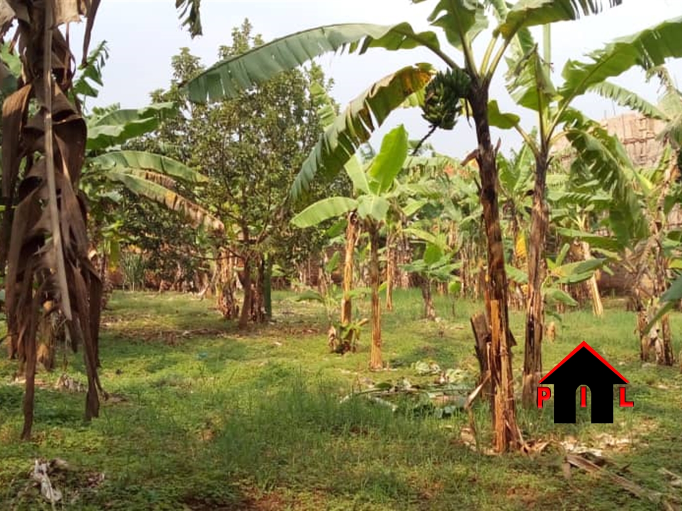 Residential Land for sale in Najjera Wakiso