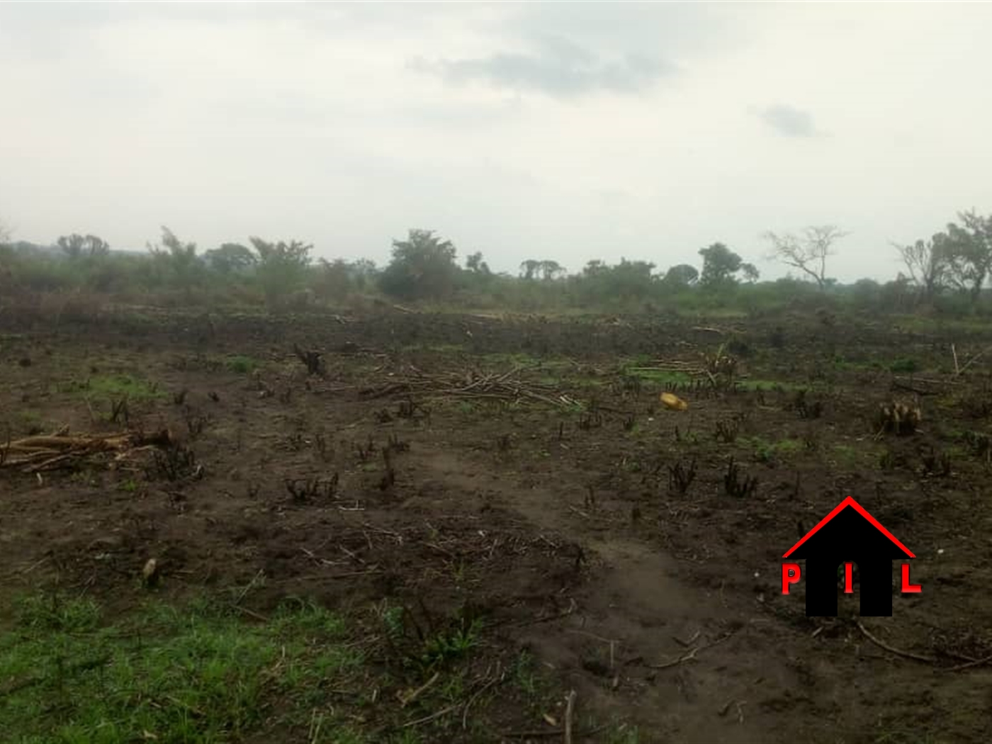 Agricultural Land for sale in Wakivule Luweero