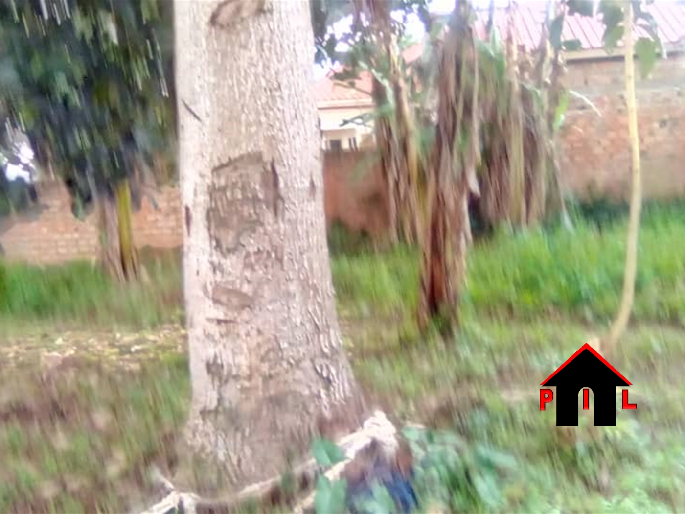 Residential Land for sale in Sonde Wakiso