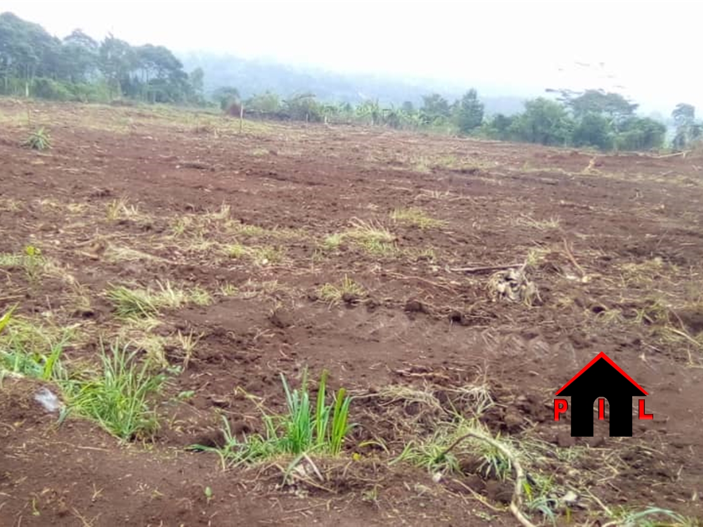 Residential Land for sale in Kasayi Mukono