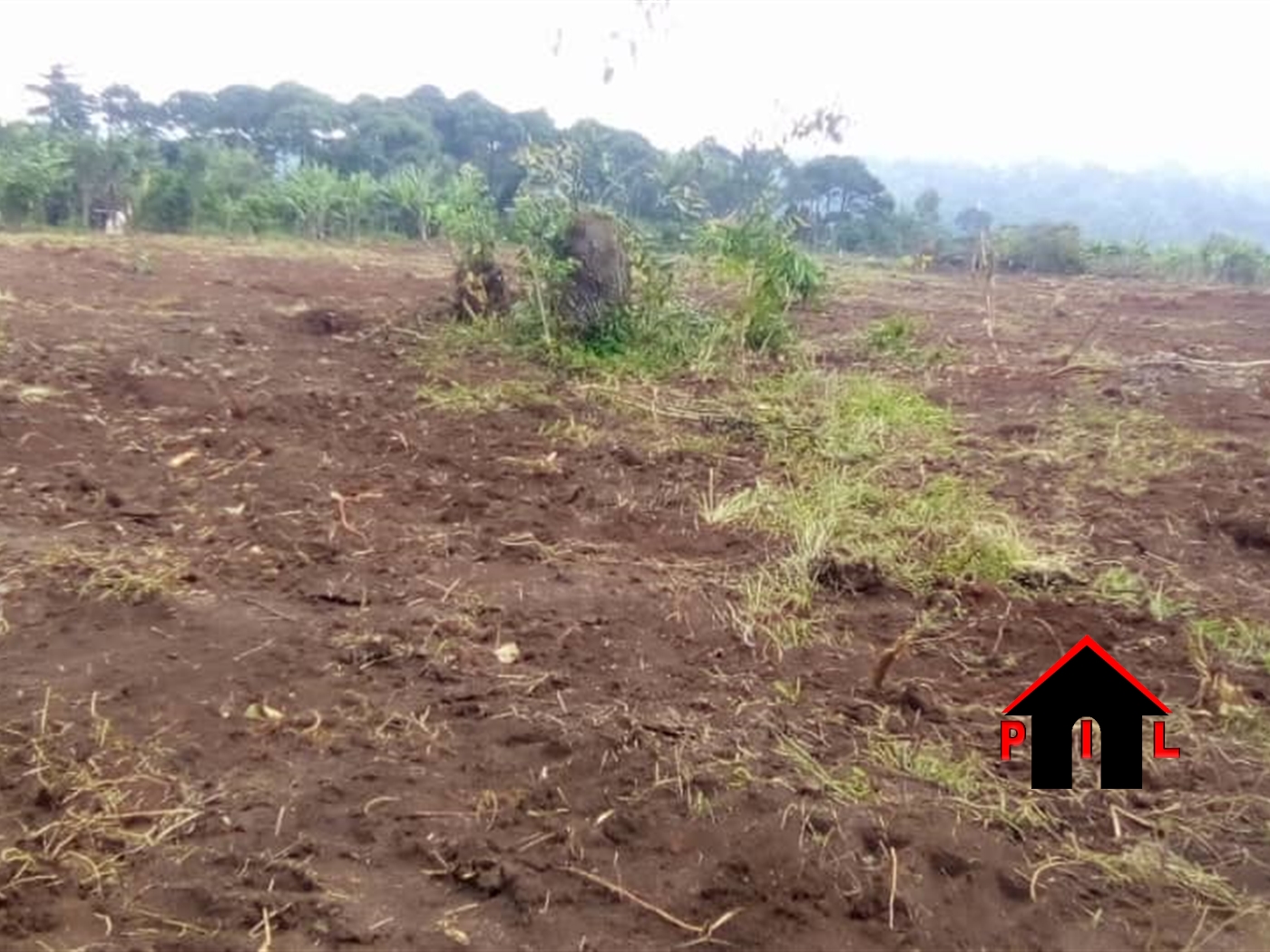 Residential Land for sale in Kasayi Mukono