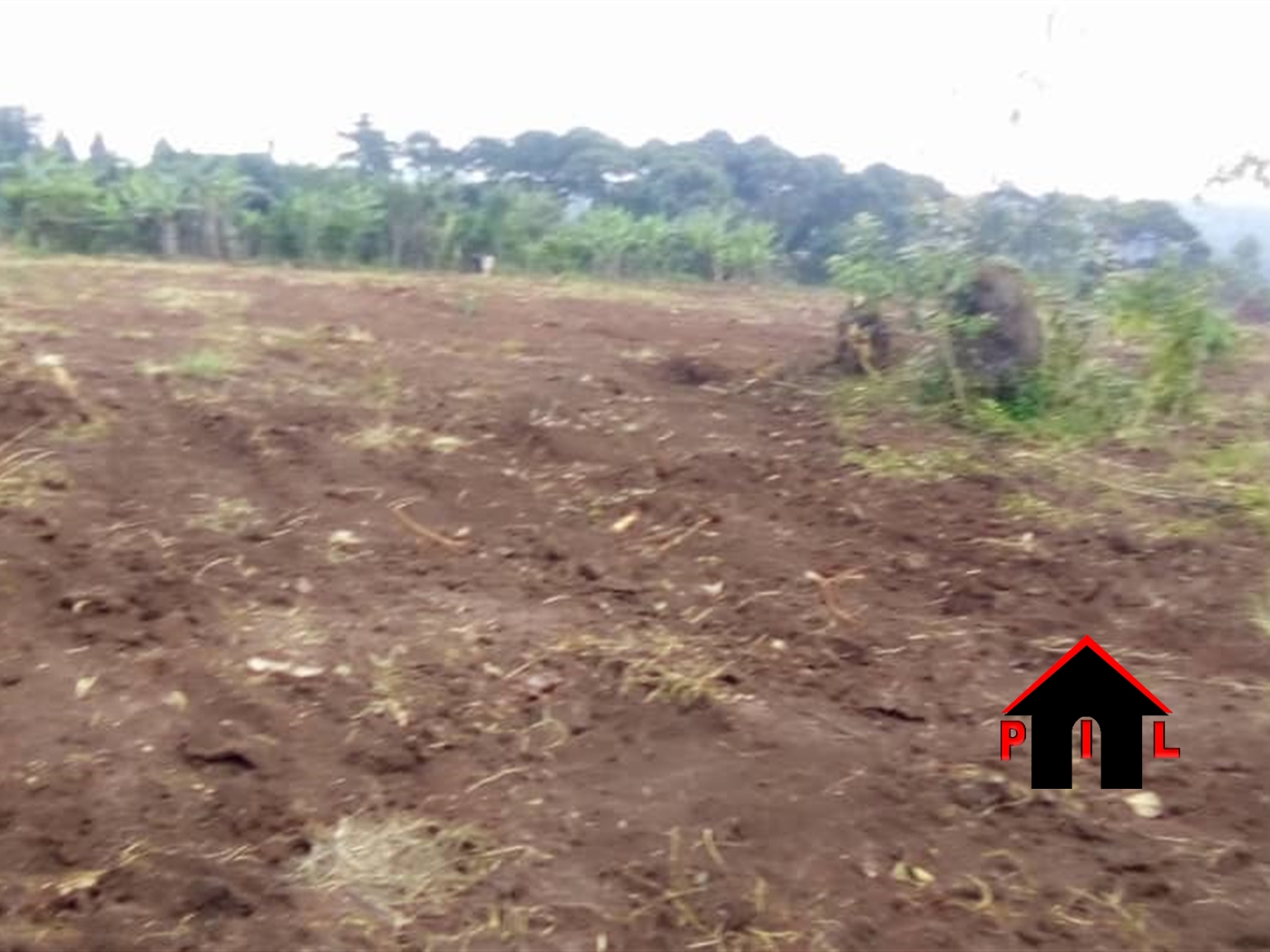 Residential Land for sale in Kasayi Mukono