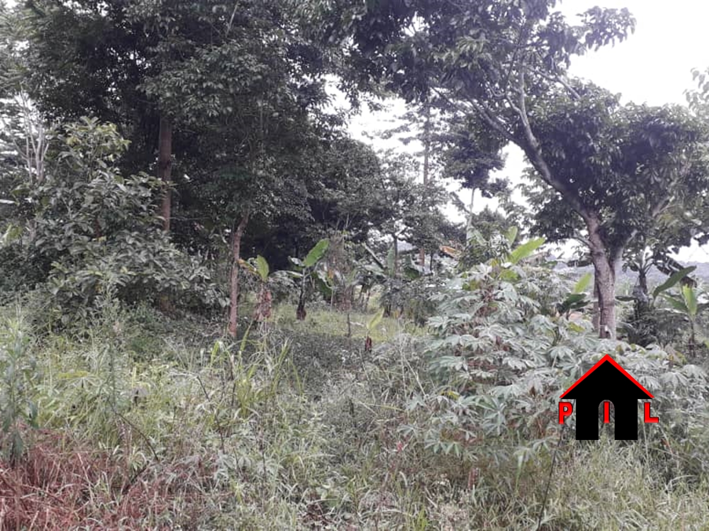 Agricultural Land for sale in Katende Wakiso