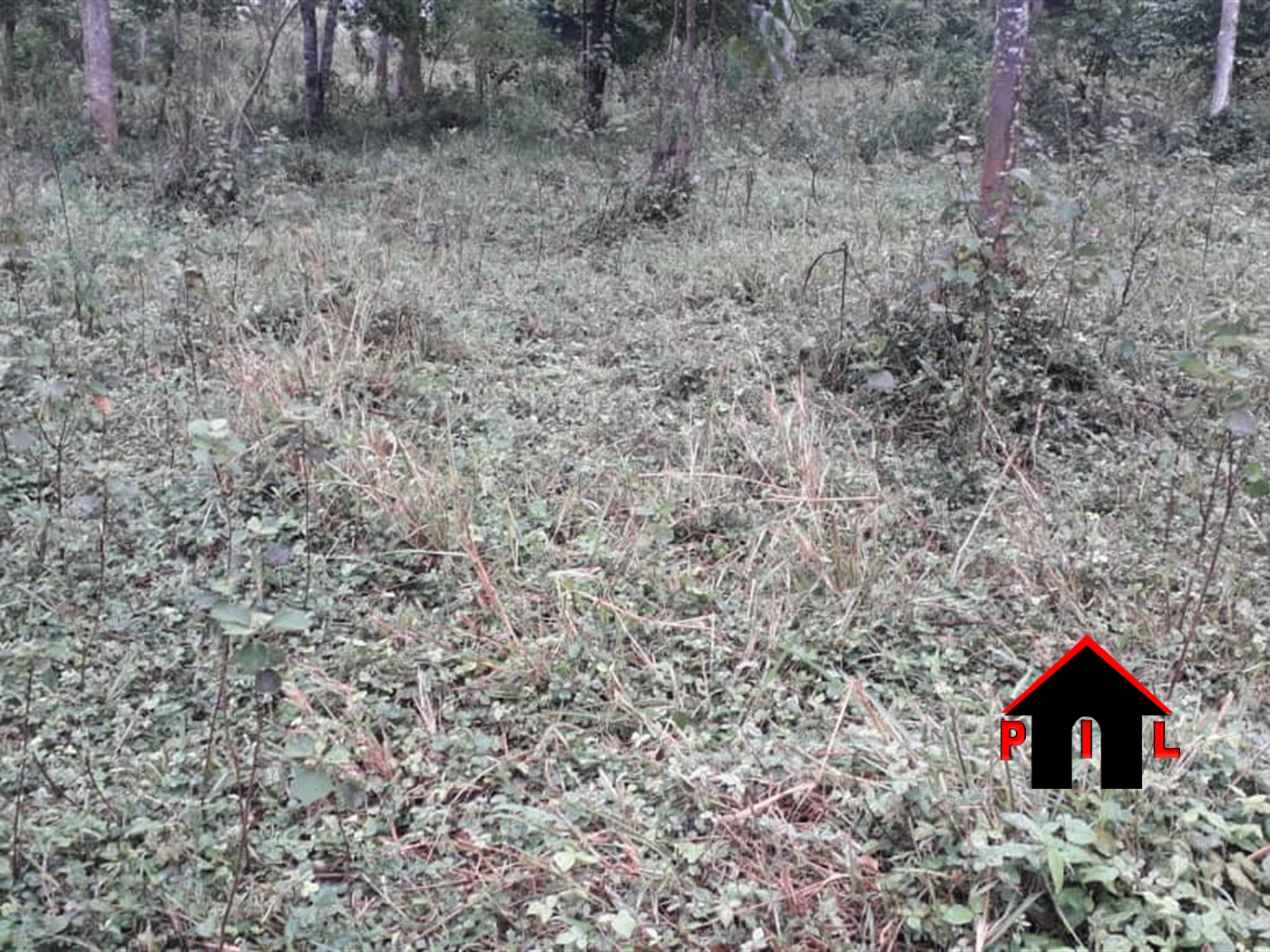 Agricultural Land for sale in Katende Wakiso