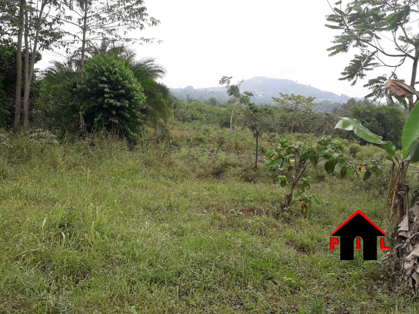 Agricultural Land for sale in Katende Wakiso