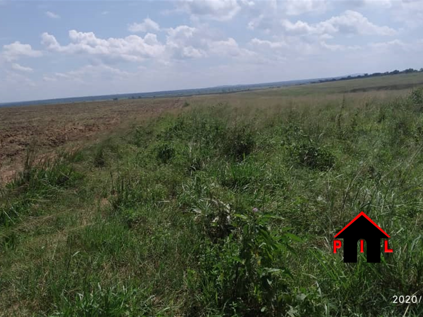 Agricultural Land for sale in Katuugo Nakasongola