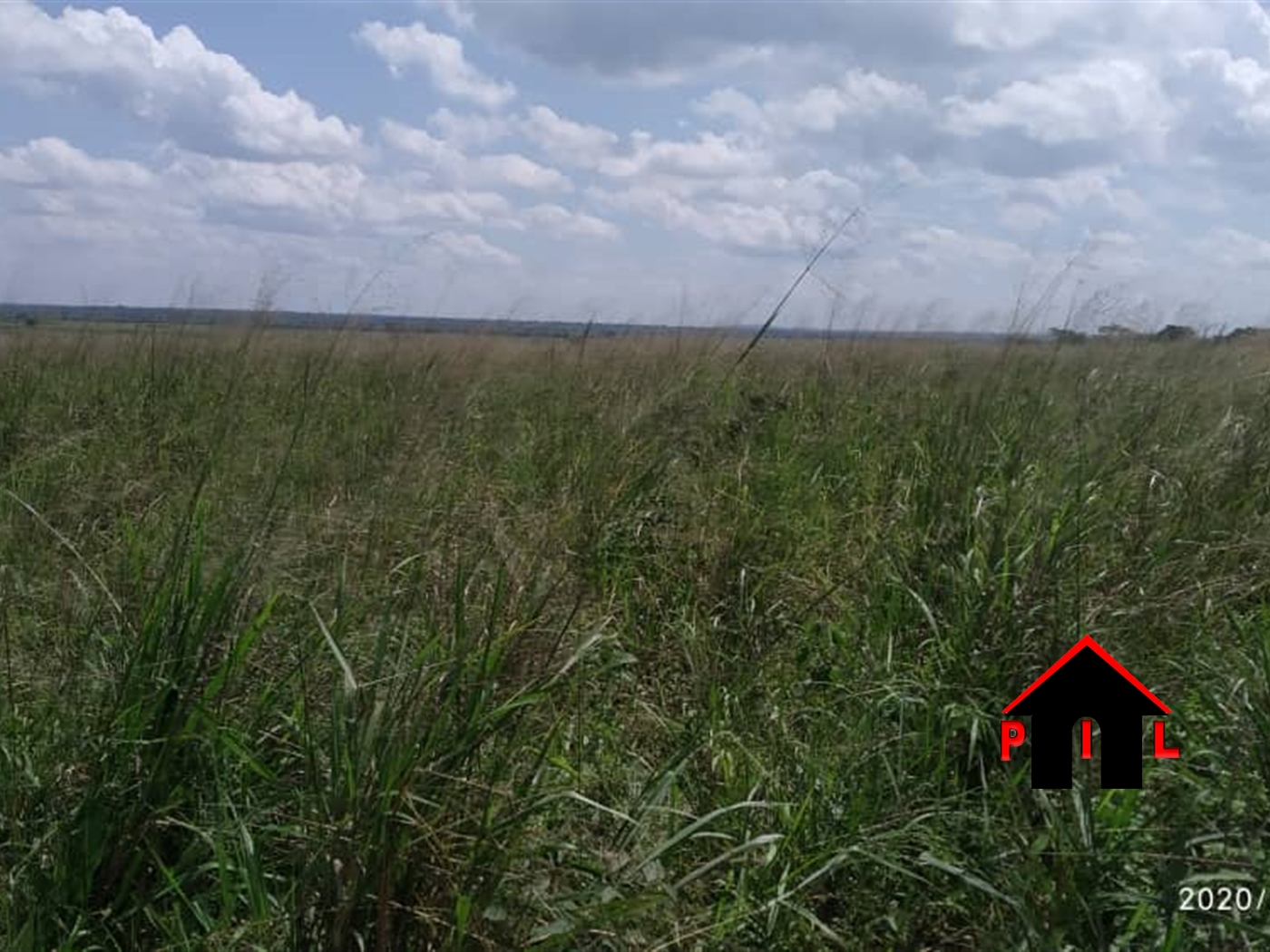 Agricultural Land for sale in Kiwoko Nakaseke