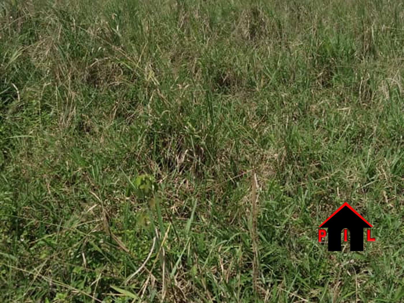 Agricultural Land for sale in Lukinzi Luweero
