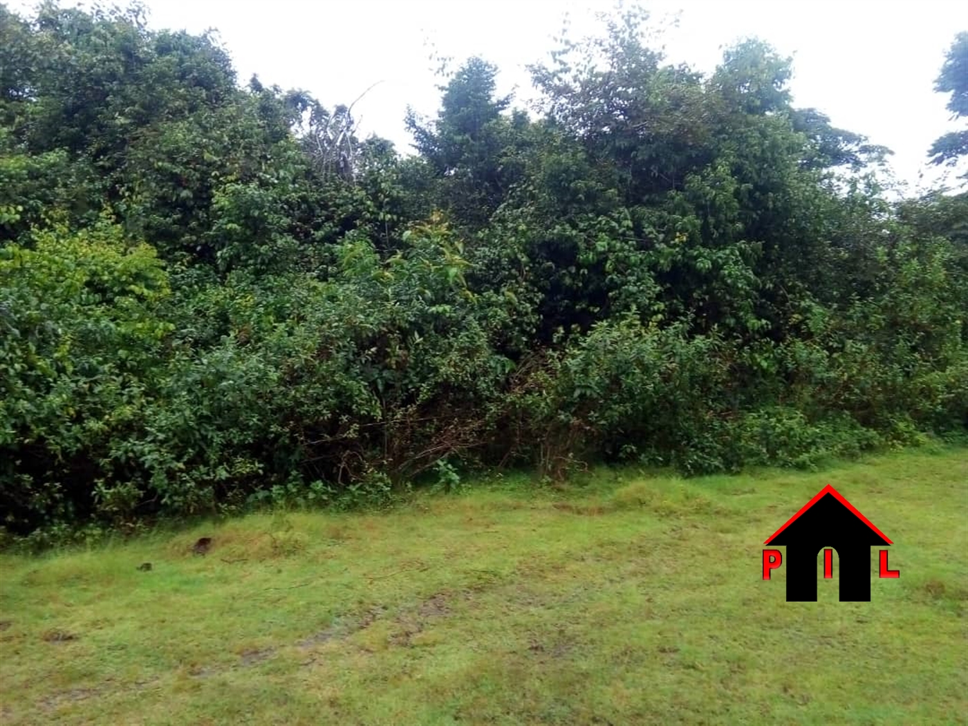 Commercial Land for sale in Bwelenga Wakiso