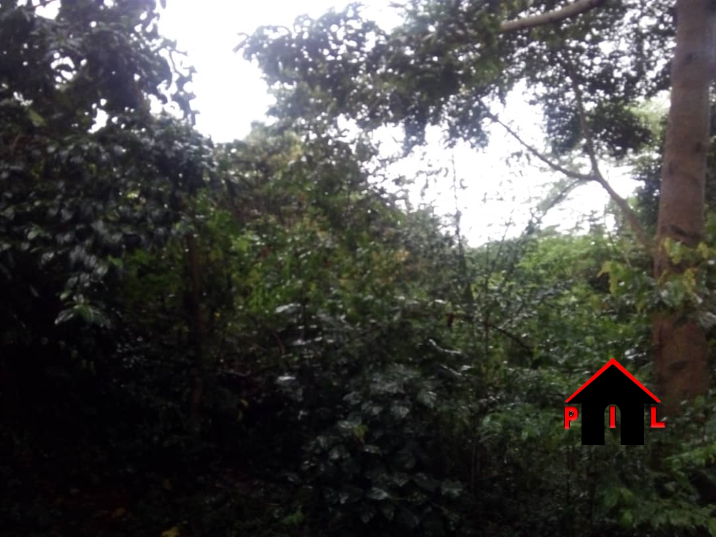 Commercial Land for sale in Bwelenga Wakiso