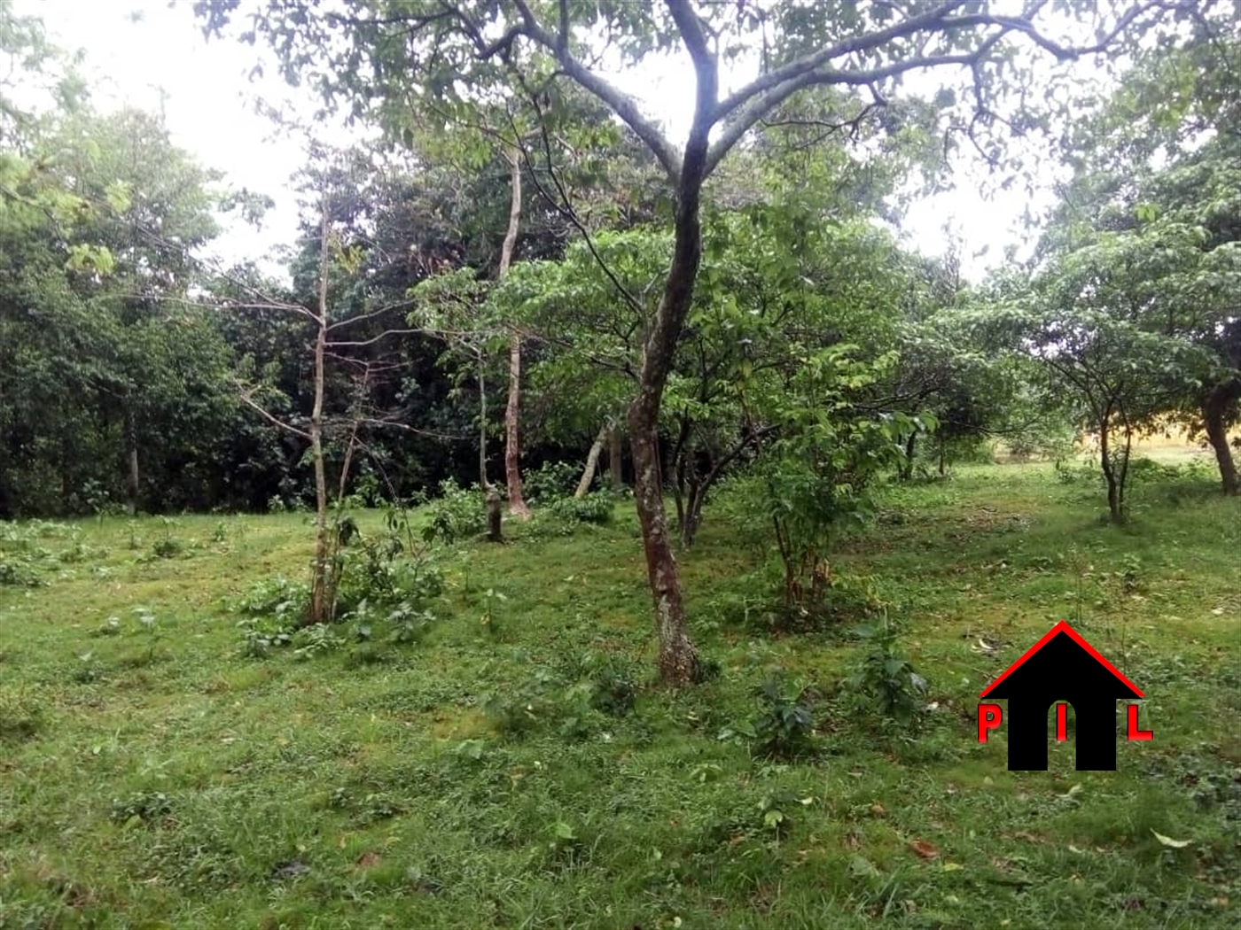 Commercial Land for sale in Bwelenga Wakiso