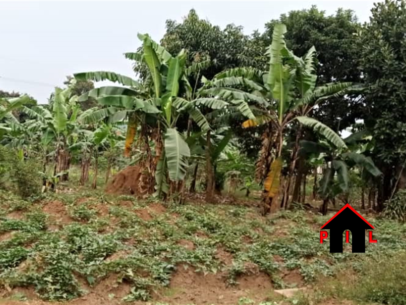 Residential Land for sale in Kyanja Kampala