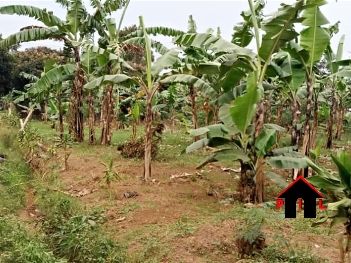 Residential Land for sale in Kyanja Kampala