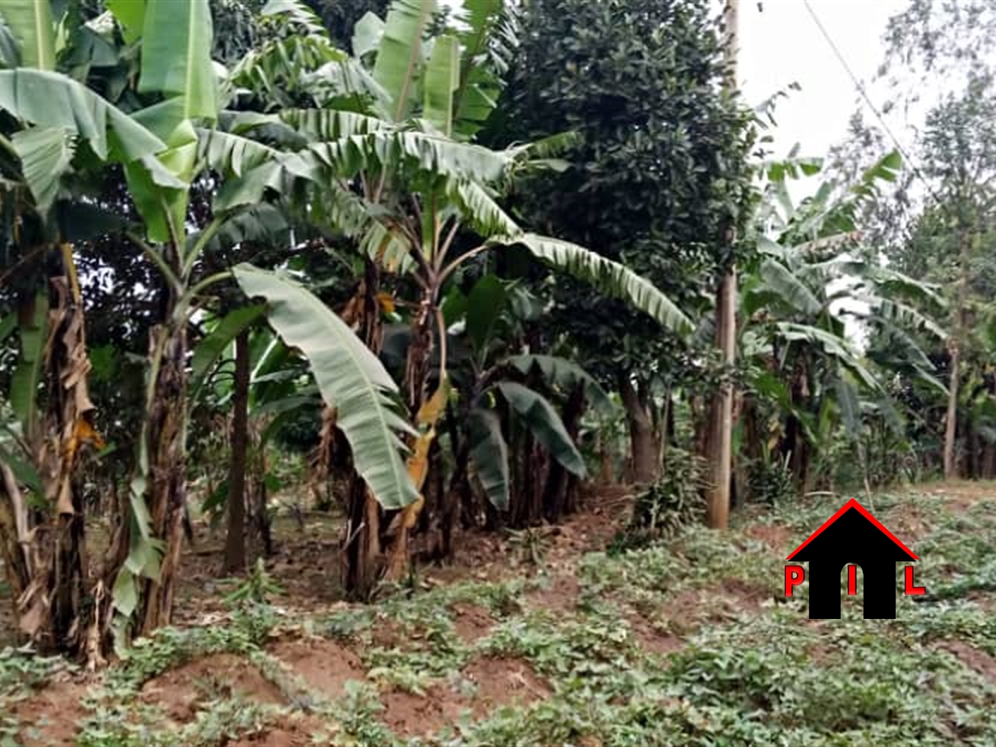 Residential Land for sale in Kyanja Kampala