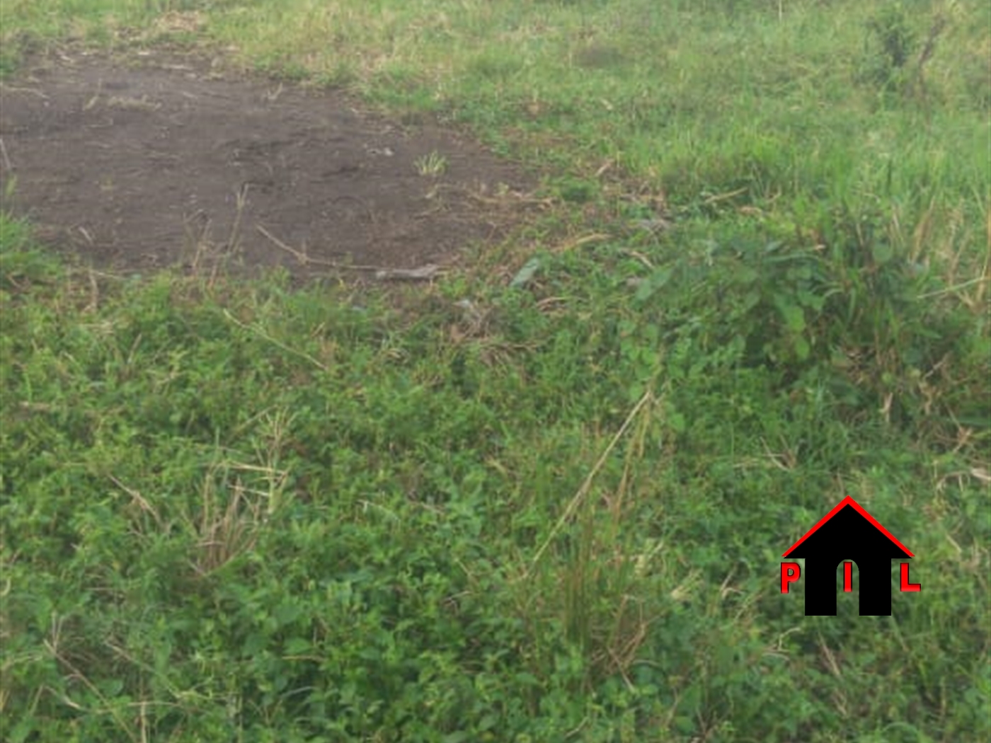 Agricultural Land for sale in Nakassajja Wakiso