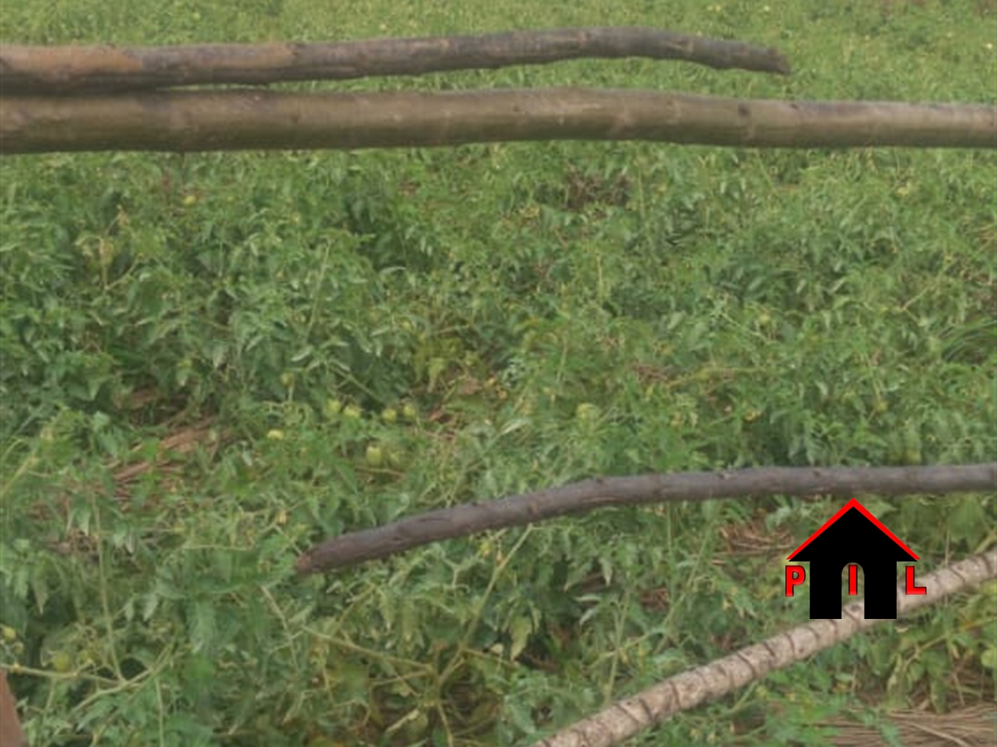 Agricultural Land for sale in Nakassajja Wakiso